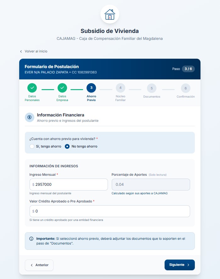 Vista general paso 3 - información financiera